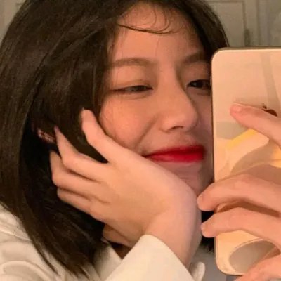 木材宝藏狗